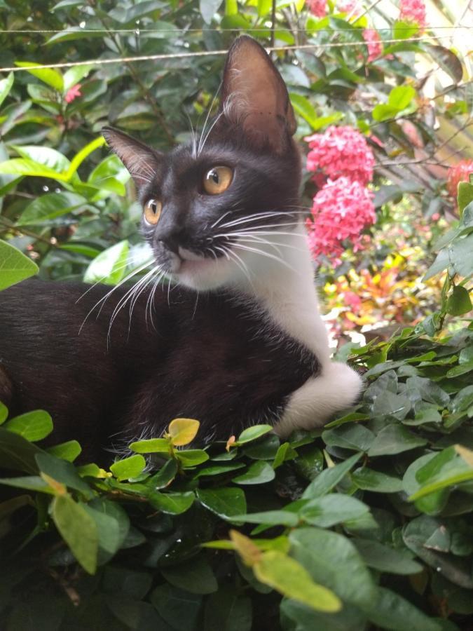 Oxe Uai Hostel Porto Seguro Kültér fotó