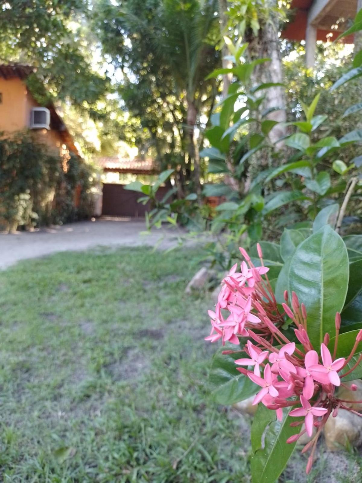 Oxe Uai Hostel Porto Seguro Kültér fotó